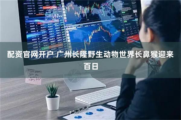 配资官网开户 广州长隆野生动物世界长鼻猴迎来百日